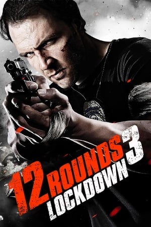 12 Rounds 3 Lockdown 2015 Hindi Dual Audio BluRay 300MB