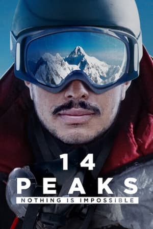 14 Peaks: Nothing Is Impossible (2021) Hindi Dual Audio HDRip [920MB]