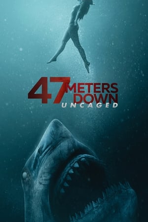 47 Meters Down: Uncaged (2019) Hindi Dual Audio BluRay 400MB