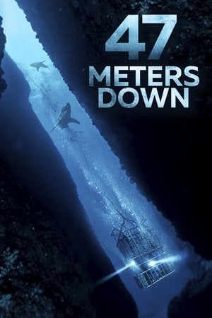 47 Metres Down (2017) Hindi Dual Audio BluRay 300MB