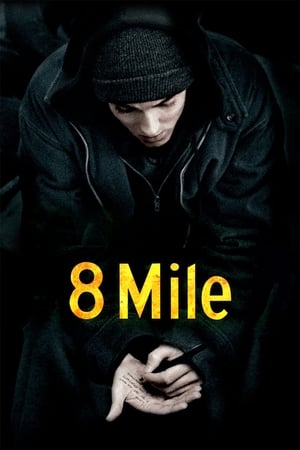 8 Mile 2002 Hindi Dual Audio BluRay 340MB