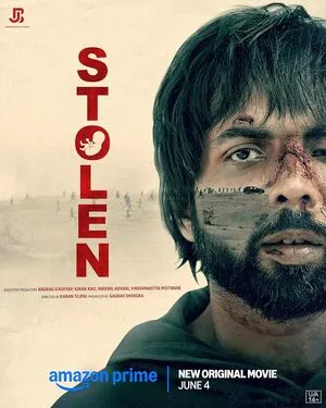 Stolen 2025 Hindi WEB-DL