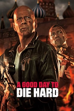 A Good Day to Die Hard (2013) Hindi Dual Audio BluRay 300MB