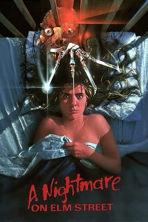 A Nightmare on Elm Street (2010) Hindi Dual Audio BluRay 300MB