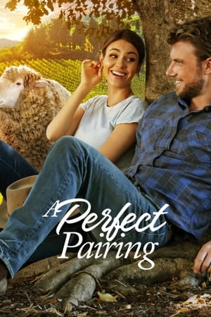 A Perfect Pairing (2022) Hindi Dual Audio HDRip – 480p