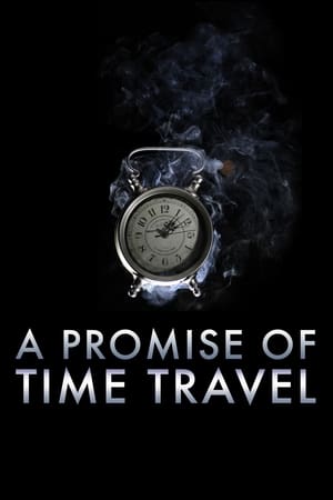 A Promise of Time Travel 2016 Hindi Dual Audio Web-DL 300MB