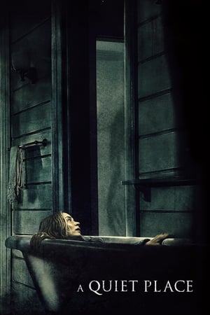 A Quiet Place 2018 Hindi Dual Audio BluRay [800MB]