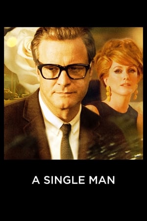 A Single Man 2009 Dual Audio Hindi BluRay [750MB] ESubs