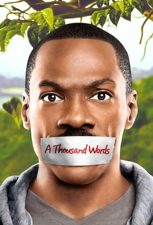 A Thousand Words (2012) Hindi Dual Audio BluRay 300MB