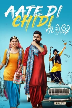 Aate di chidi (2018) Punjabi Movie HDRip x264 [1GB]
