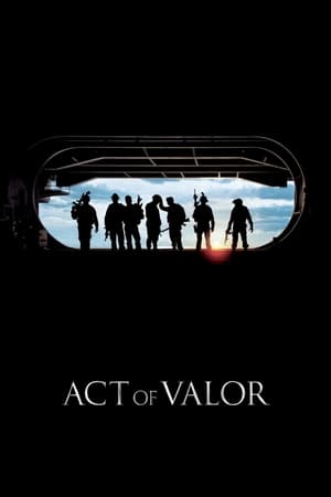 Act of Valor (2012) Hindi Dual Audio BluRay 390MB