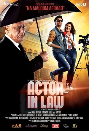 Actor in Law (2016) Movie Pakistani HDRip [700MB] Download
