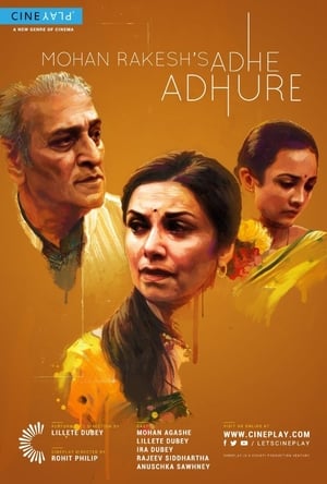 Adhe Adhure 2017 Full Movie HDRip [880MB] Download
