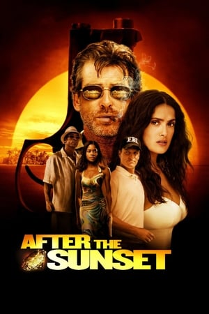 After The Sunset (2004) Hindi Dual Audio BluRay 320MB