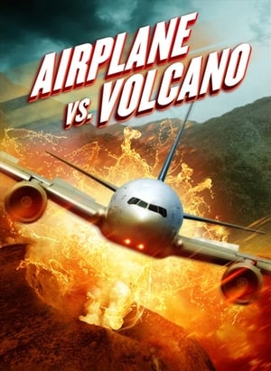 Airplane vs. Volcano (2014) Hindi Dual Audio BluRay 300MB