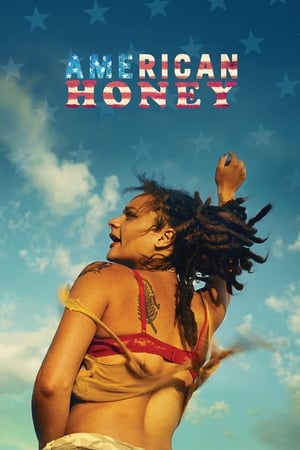 American Honey (2016) Hindi Dual Audio BluRay [1.4GB]