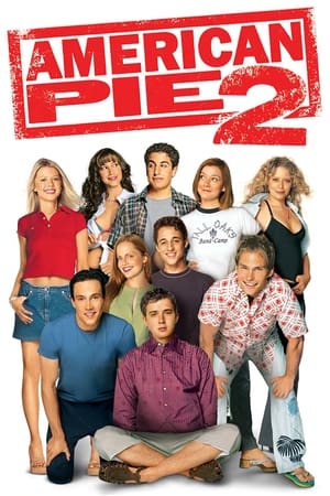 American Pie 2 (2001) Hindi Dual Audio BluRay 375MB