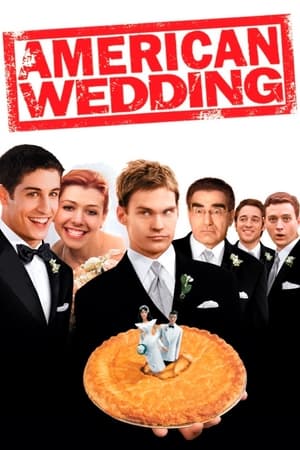 American Wedding (2003) Hindi Dual Audio BluRay [850MB]
