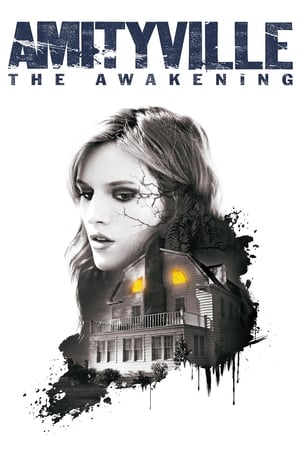 Amityville: The Awakening (2017) Hindi Dual Audio BluRay [800MB]