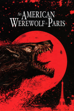 An American Werewolf in Paris 1997 Hindi Dual Audio BluRay [860MB]