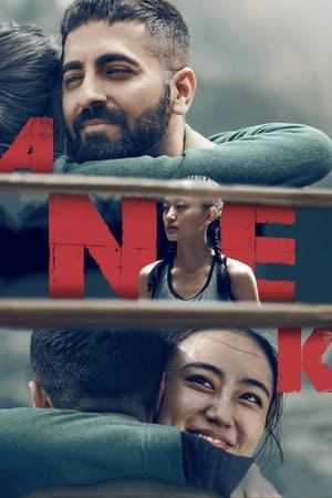 Anek 2022 Hindi Movie HDRip – 480p