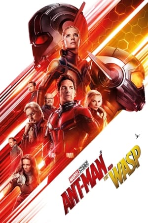 Ant Man and the Wasp (2018) Hindi Dual Audio BluRay 350MB