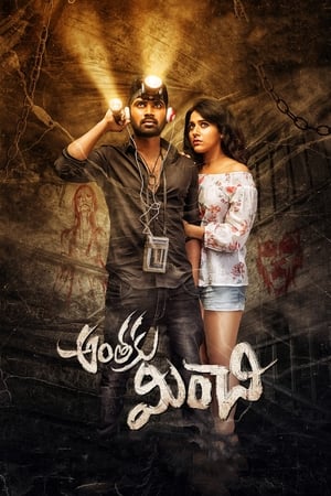 Anthaku Minchi (2018) Hindi Dubbed HDRip [1GB]