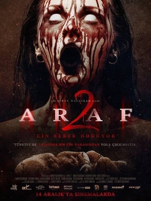 Araf 2 2019 Hindi Dual Audio Web-DL [750MB]
