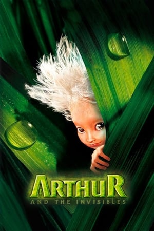 Arthur and the Invisibles (2006) Hindi Dual Audio BluRay [990MB]