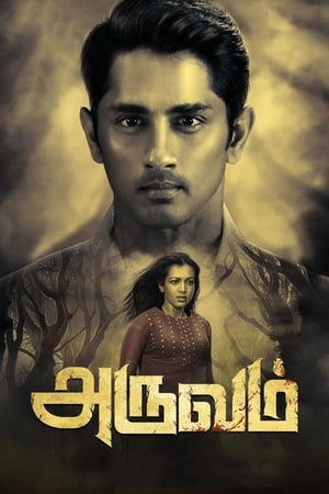 Aruvam (2019) (Hindi – Tamil) Dual Audio UnCut HDRip 400MB