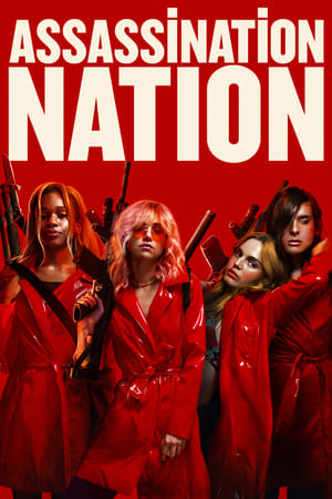 Assassination Nation (2018) Hindi Dual Audio BluRay 400MB