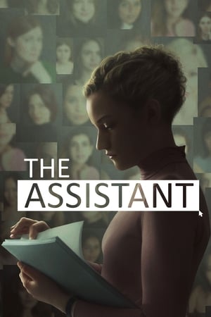 Assistant 2021 Hindi (Fan Dub) Dual Audio WebRip [650MB]