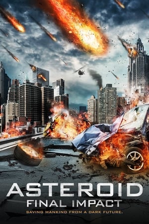 Asteroid: Final Impact (2015) Hindi Dual Audio BluRay [1.1GB]