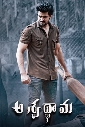 Aswathama 2020 (Hindi – Telugu) Dual Audio UnCut HDRip 340MB