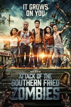 Attack of the Southern Fried Zombies (2017) Hindi Dual Audio BluRay [800MB]