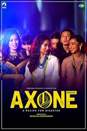 Axone 2019 Hindi Movie HDRip – [300MB]