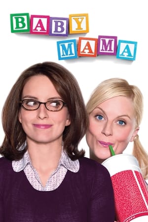 Baby Mama (2008) Hindi Dual Audio BluRay [900MB]