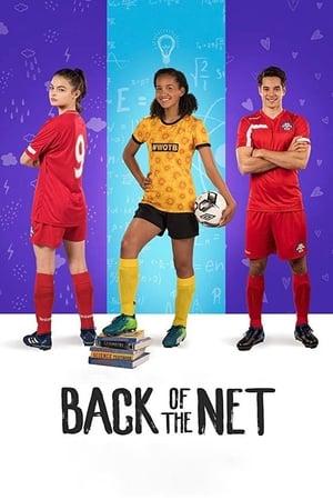 Back of the Net (2019) Hindi Dual Audio Web-DL [800MB]