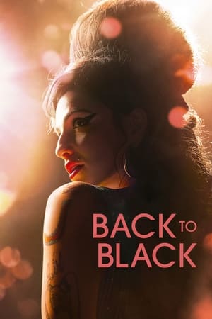 Back to Black (2024) Hindi Dual Audio HDRip – 720p – 480p
