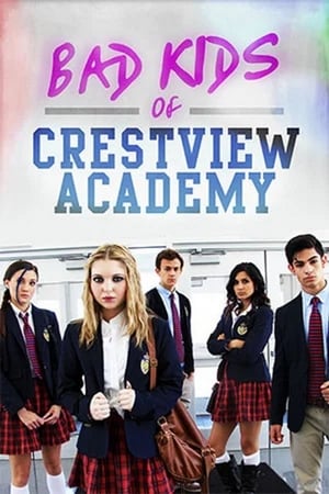Bad Kids of Crestview Academy (2017) Hindi Dual Audio Web-DL [900MB]