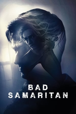 Bad Samaritan (2018) Hindi Dual Audio BluRay 400MB