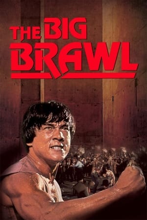 Battle Creek Brawl (1980) Hindi Dual Audio BluRay [1GB]