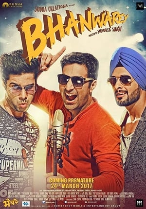 Bhanwarey 2017 Hindi Movie DVDRip x264 [850MB]