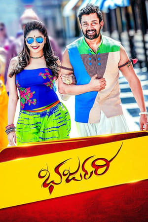 Bharjari 2017 Dual Audio Hindi Full Movie UNCUT HDRip - 1.7GB