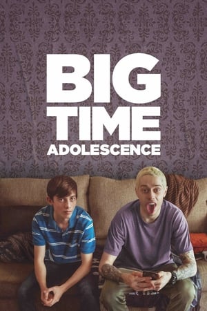 Big Time Adolescence (2019) Hindi Dual Audio HDRip – 480p