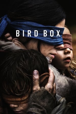 Bird Box 2018 Hindi (HQ DUBBED) Dual Audio WebRip 380MB