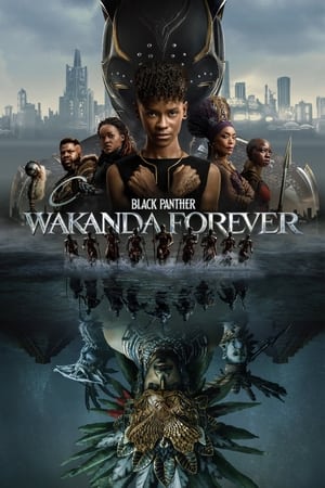 Black Panther: Wakanda Forever 2022 Hindi (ORG) Dual Audio BluRay – 480p
