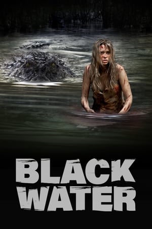 Black Water (2007) Hindi Dual Audio BluRay [1GB]