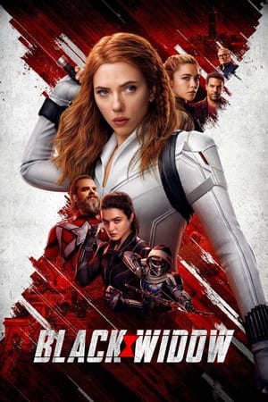Black Widow (2021) Hindi Dual Audio HDRip [1.2GB]
