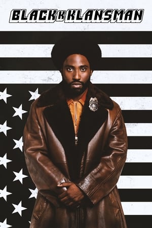 BlacKkKlansman (2018) Hindi Dual Audio BluRay 420MB